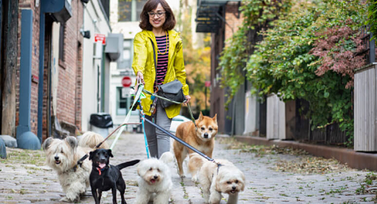 mujer paseando a los perros