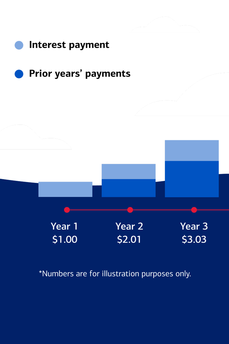 Year 1 $1.00 Year 2 $2.01 Year 3 $3.03. *Numbers are for illustration purposes only.