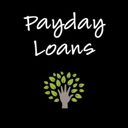 Rise cash loans image 7